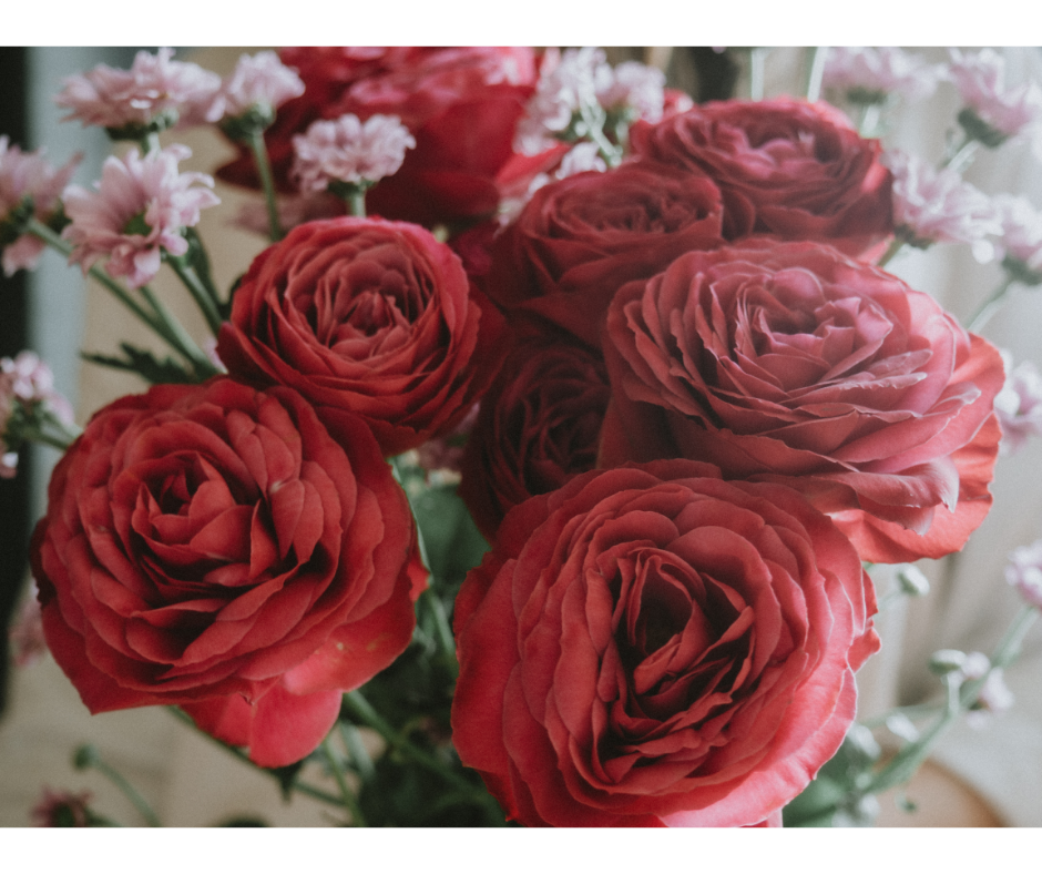 Czerowone róże i różowe margaretki 