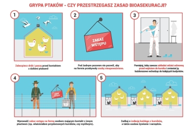 Fragment plakatu informacyjnego o prawidłowych zasadach bioasekuracji