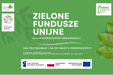 Plakat z zielonym tłem. W obu rogach i są logotypy organziatorów. Na środku informacje o nazwie spotkania, jego dacie i miejscu. Poniżej informacje o dofinanswaniu projektu.